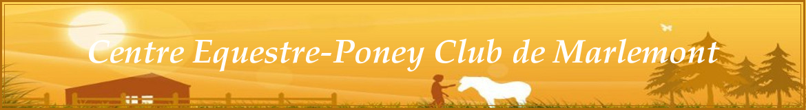Centre Equestre-Poney Club de Marlemont